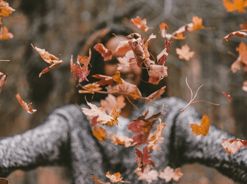 Eine Person in einem grauen Pullover wirft Herbstblätter in die Luft, wobei die fallenden Blätter die Kamera füllen.